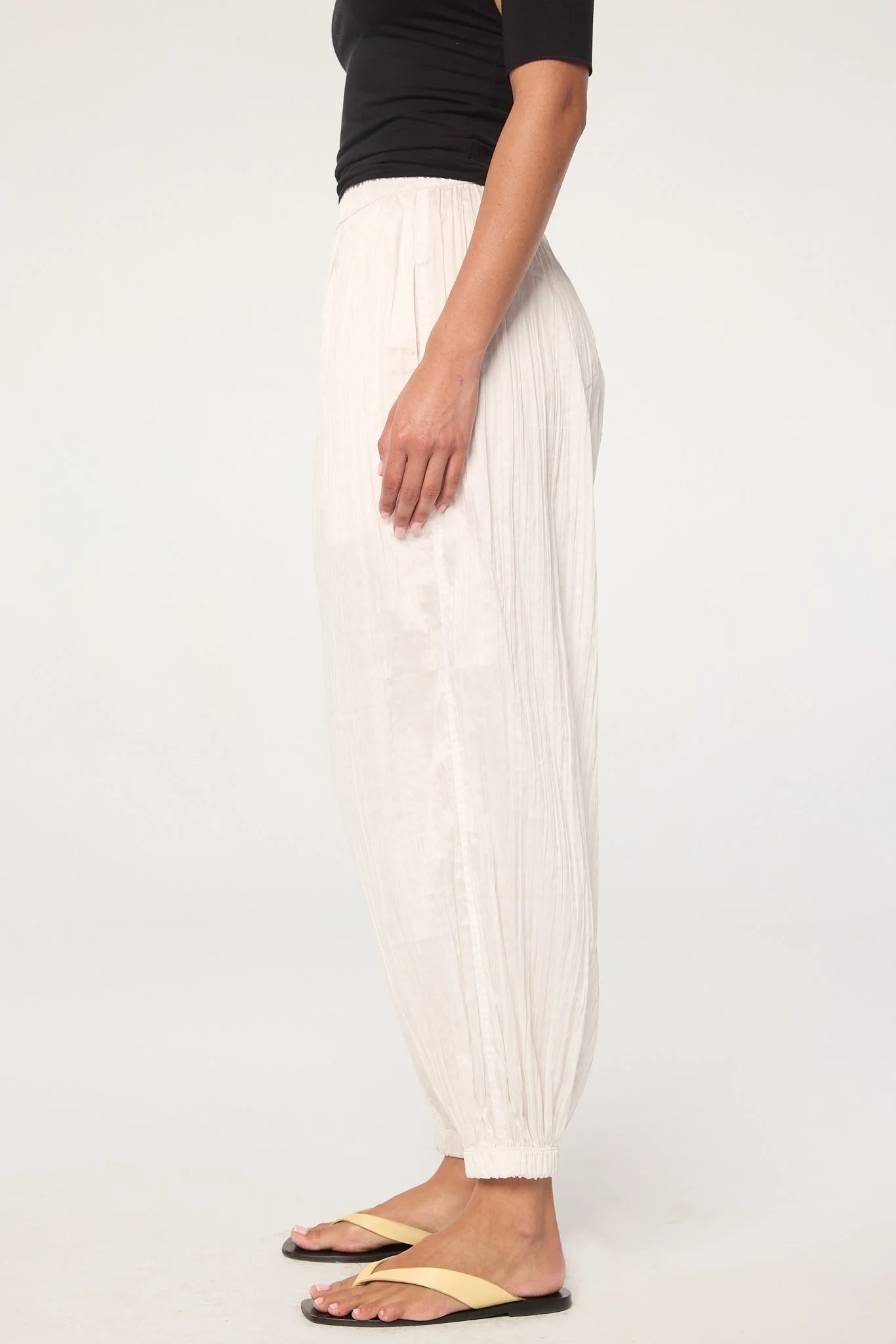Louis - Image 4