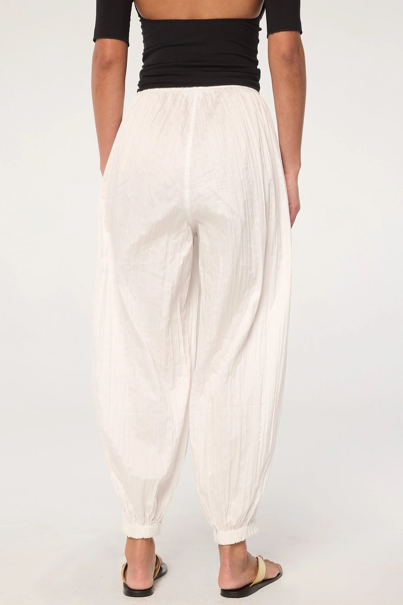 Louis - Image 5